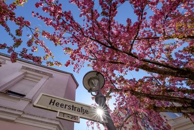 Fruehling (Fr?hling) in Bonn-stock-foto