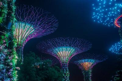 Singapur, Asien, Gardens By The Bay,-stock-foto