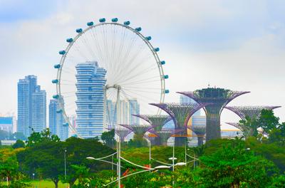 Singapore Flyer and Garden SINGAPORE - FEB 16, 2017: View of trees at Garden by the Bay and Singapore Flyer Copyright: x-stock-foto