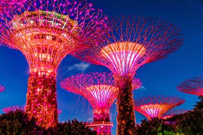 SINGAPORE - FEB 29 SINGAPORE - FEB 29, 2020: Gardens by the Bay, nature park in the Central Region of Singapore, adjacen-stock-foto