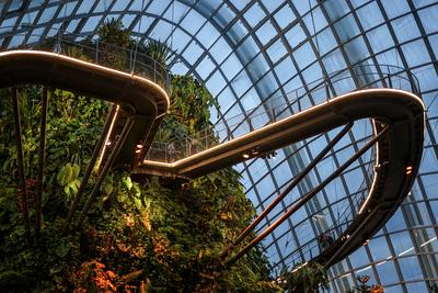 Singapur, Asien, Blumenkuppel,-stock-foto