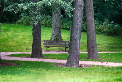 Park, alder, lawn, park paths and old park bench Park, alder, Park paths and old Park bench. Nostalgia for the past Copy-stock-photo