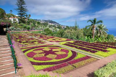 Botanischer Garten Funchal, rote und gruene Beete bilden Muster, Funchal Botanical Garden, red and green beds form patterns-stock-photo