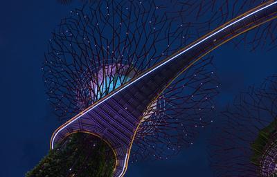 Supertree Grove Verbindungsbr?cke beleuchtet den Nachthimmel in Singapur-stock-photo
