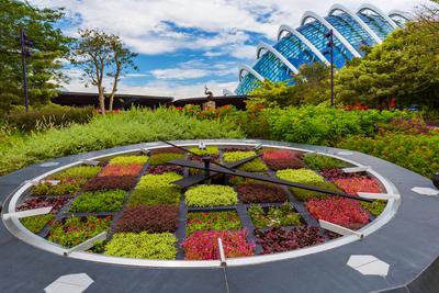 Flower clock in Park Gardens by the Bay in Singapore Flower clock in Park Gardens by the Bay in Singapore - nature and t-stock-foto
