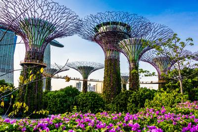 SINGAPORE - FEB 29 SINGAPORE - FEB 29, 2020: Gardens by the Bay, nature park in the Central Region of Singapore, adjacen-stock-foto