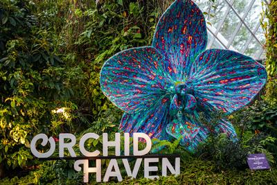 Singapur, Asien - 16. April 2024: Orchid Haven in den Gardens by the Bay in Singapur zu sehen-stock-foto