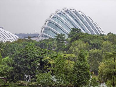 Gardens by the Bay scenery around a nature park named Gardens by the Bay in Singapore Copyright: xZoonar.com/AchimxPrill-stock-foto