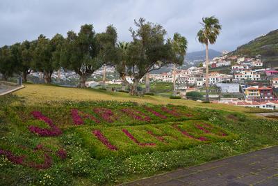 Garden park Jardim Ilh?u with flowers in C?mara de Lobos, Madeira Garden park Jardim Ilh?u with flowers in C?mara de Lob-stock-foto