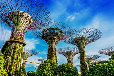 SINGAPORE - FEB 29 SINGAPORE - FEB 29, 2020: Gardens by the Bay, nature park in the Central Region of Singapore, adjacen-stock-foto