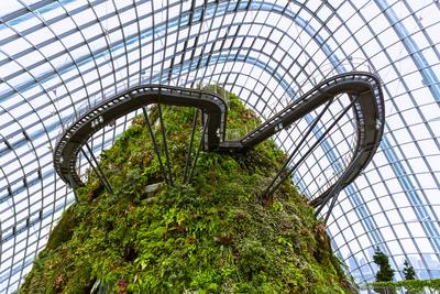 Cloud Forest Dome at Gardens by the Bay in Singapore Cloud Forest Dome at Gardens by the Bay in Singapore - nature backg-stock-foto