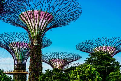SINGAPORE - FEB 29 SINGAPORE - FEB 29, 2020: Gardens by the Bay, nature park in the Central Region of Singapore, adjacen-stock-foto