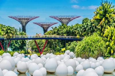 SINGAPORE - FEB 29 SINGAPORE - FEB 29, 2020: Gardens by the Bay, nature park in the Central Region of Singapore, adjacen-stock-foto