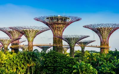 SINGAPORE - FEB 29 SINGAPORE - FEB 29, 2020: Gardens by the Bay, nature park in the Central Region of Singapore, adjacen-stock-foto