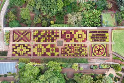 Botanischer Garten Funchal von oben, rote und gruene Beete bilden Muster, Luftbild, Funchal Botanical Garden, red and green beds form patterns, aerial view-stock-foto