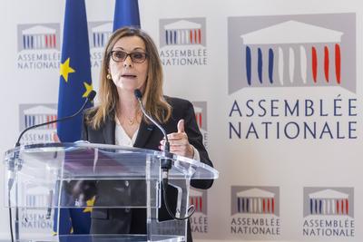 Remise du rapport de la commission d enquete parlementaire sur l aide sociale a l enfance-stock-foto