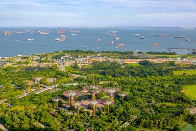 Panorama of Gardens by the Bay and Ship Raid in Singapore. Aerial View Singapore. Panoramic view of Gardens by the Bay,-stock-foto