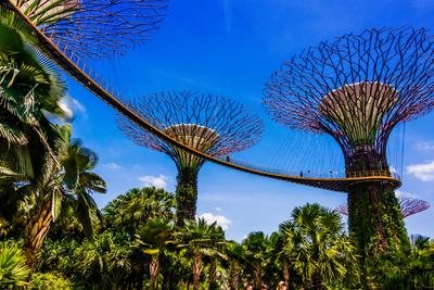 SINGAPORE - FEB 29 SINGAPORE - FEB 29, 2020: Gardens by the Bay, nature park in the Central Region of Singapore, adjacen-stock-foto