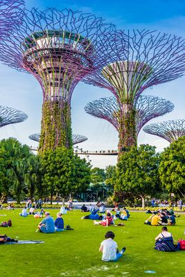 SINGAPORE - FEB 29 SINGAPORE - FEB 29, 2020: Gardens by the Bay, nature park in the Central Region of Singapore, adjacen-stock-foto