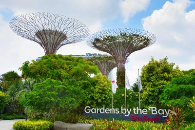 Gardens by the Bay. Singapore SINGAPORE - JAN 15, 2017: Gardens by the Bay in Singapore. Gardens by the Bay was crowned-stock-foto