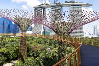 Die beruehmte Skyline am Hafen von Singapur, 2021 Singapore. Gardens by the Bay Copyright: xZoonar.com/MarcoxBriviox 194-stock-foto