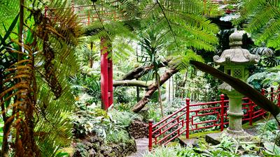 Im Jardim Tropical Monte Palace in Funchal, Madeira Im Jardim Tropical Monte Palace in Funchal, Madeira Copyright: xZoon-stock-photo