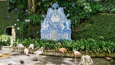 Im Jardim Tropical Monte Palace in Funchal, Madeira Im Jardim Tropical Monte Palace in Funchal, Madeira Copyright: xZoon-stock-photo