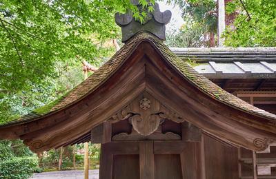 Traditional Japanese cypress bark roof in Buddhist and Shinto shrine in Kyoto. Japan Traditional Japanese cypress bark r-stock-foto