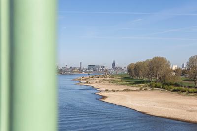 Niedrigwasser in K?ln 08.04.2025-stock-foto