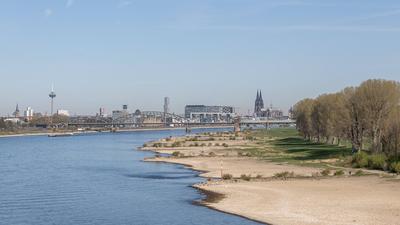Niedrigwasser in K?ln 08.04.2025-stock-foto