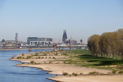 Niedrigwasser in K?ln 08.04.2025-stock-foto