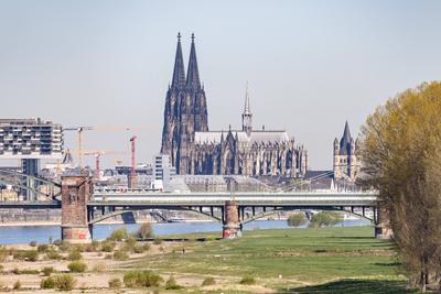 Niedrigwasser in K?ln 08.04.2025-stock-foto