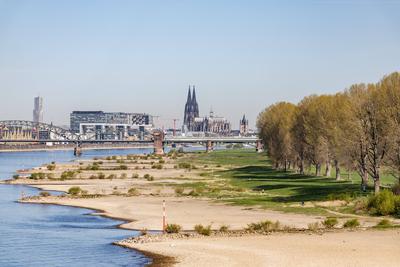 Niedrigwasser in K?ln 08.04.2025-stock-foto