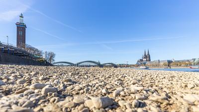Niedrigwasser in K?ln 08.04.2025-stock-foto