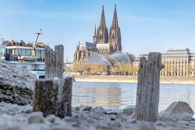 Niedrigwasser in K?ln 08.04.2025-stock-foto