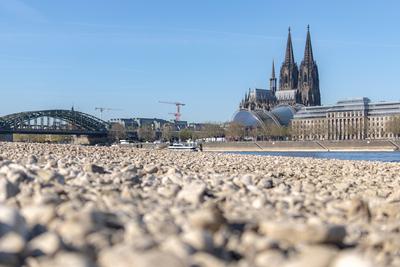 Niedrigwasser in K?ln 08.04.2025-stock-foto