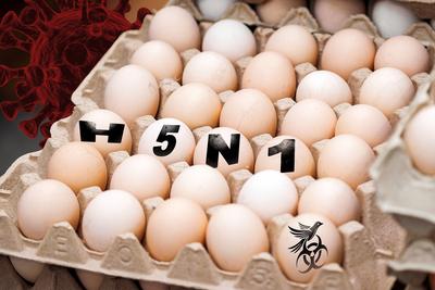 Germany - 02 July 2024: Chicken eggs, or chicken eggs from birds, next to virus and label: H5N1. Symbolizes infection th-stock-foto