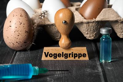 Germany - 02 July 2024: H5N1 virus - bird flu on a stamp next to egg carton and eggs of a bird or chicken. A syringe wit-stock-foto