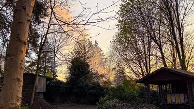 Waldbrand in der Wuppertaler S?dstadt-stock-foto