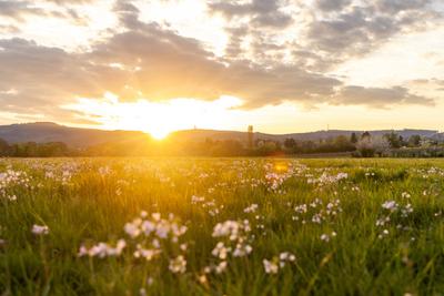 Abendstimmung im Taunus-stock-foto