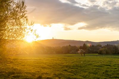 Abendstimmung im Taunus-stock-foto