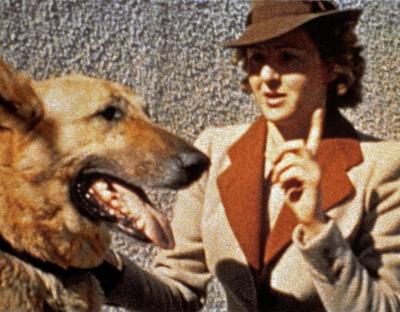 Eva Braun Photo Album Eva Anna Paula Braun (1912 - 1945) and Blondi, the German shepherd of Adolf Hitler (1889   1945).-stock-foto