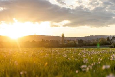 Abendstimmung im Taunus-stock-foto