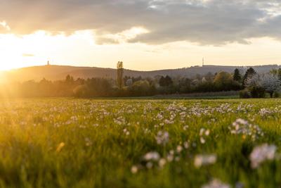 Abendstimmung im Taunus-stock-foto