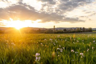 Abendstimmung im Taunus-stock-foto