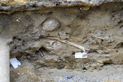 Unknown Medieval Cemetary Dig In Brussels-stock-photo