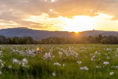 Abendstimmung im Taunus-stock-foto