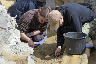 Unknown Medieval Cemetary Dig In Brussels-stock-photo