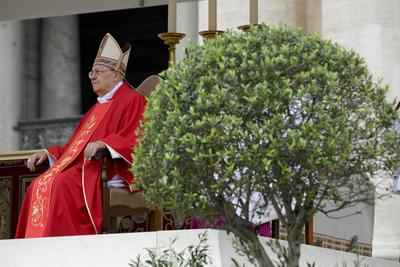 ITALY -  PALM SUNDAY ,ASS IN THE VATICAN  - 2025/4/13-stock-foto