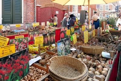 12.04.2025, Potsdam/Brandenburg/Deutschland. Tulpenfest im Holl?ndischen Viertel, Stand mit Blumenzwiebeln. *** 12 04 20-stock-foto